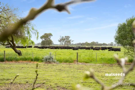 Lot 315 Mingbool Rd, Mingbool, SA 5291