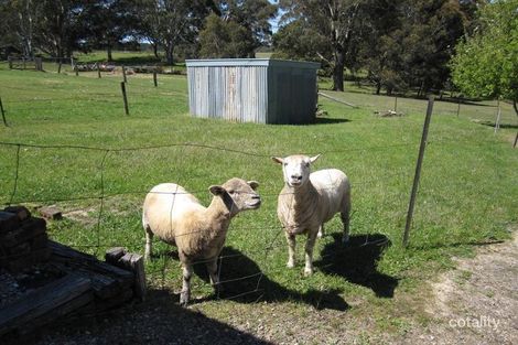 Property photo of 85 Devon Road Exeter NSW 2579