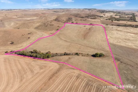 Lot 91 Worlds End Hwy, Point Pass, SA 5374