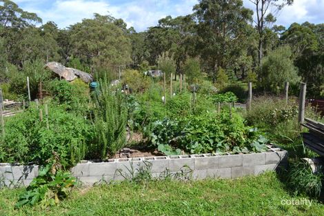 Property photo of 54 Leechs Gully Road Tenterfield NSW 2372