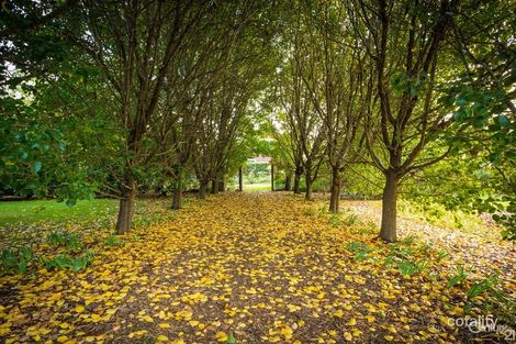Property photo of 59 Princes Highway Bodalla NSW 2545