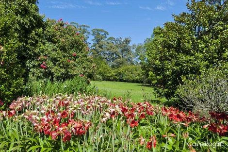 Property photo of 39 Esme Street Tamborine Mountain QLD 4272