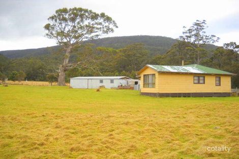 Property photo of 21 Dalmayne Road Gray TAS 7215