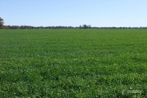 Lot 2 Casuarina Dr, Gooloogong, NSW 2805