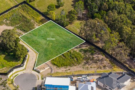 Property photo of 33 Rivulet Close Bahrs Scrub QLD 4207