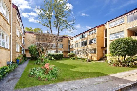 25/115 Alt St, Ashfield, NSW 2131