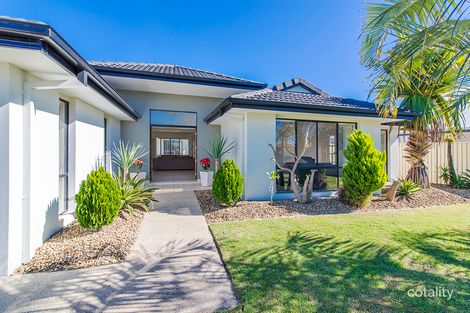Property photo of 15 Highcrest Circuit Molendinar QLD 4214