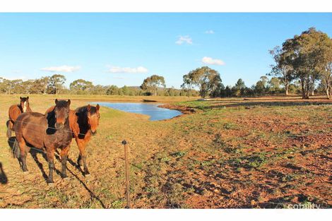 1382 Goolhi Rd, Emerald Hill, NSW 2380