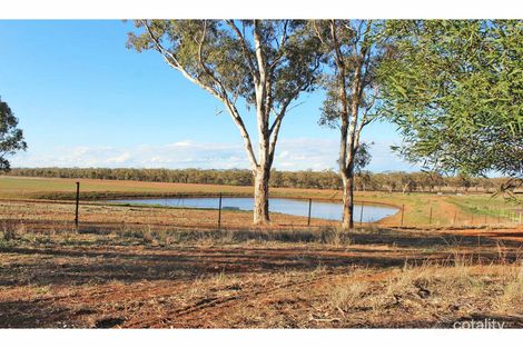 Property photo of 1382 Goolhi Road Emerald Hill NSW 2380