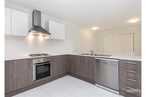 Property photo of 26 Larwill Avenue Northgate QLD 4013