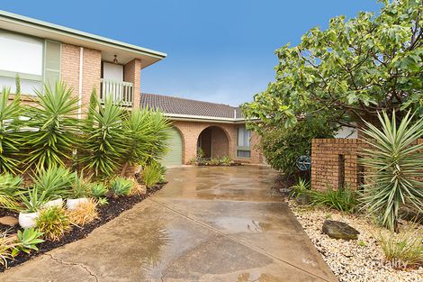3/25 Melton St, Somerton Park, SA 5044