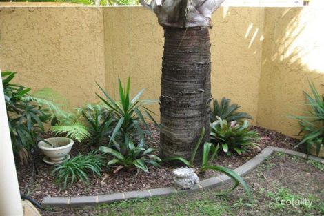 Property photo of 19/17-19 Shell Street Urangan QLD 4655