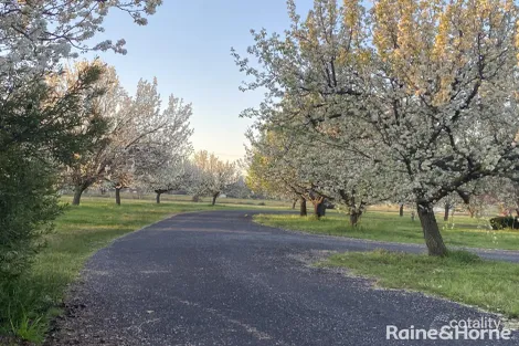 Property photo of 17 Hill Sixty Drive Spring Flat NSW 2850