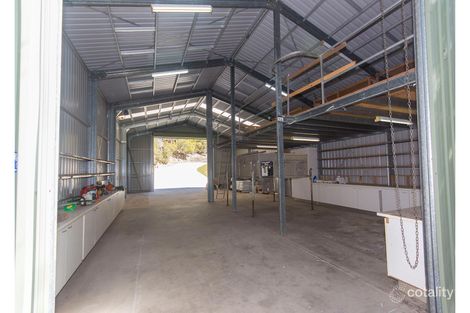 Property photo of 226 Crane Crescent Nerang QLD 4211
