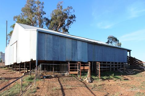 656 Eulomo Settlement Rd, Bethungra, NSW 2590