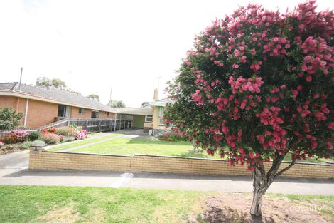 8 Glyn St, Belmont, VIC 3216