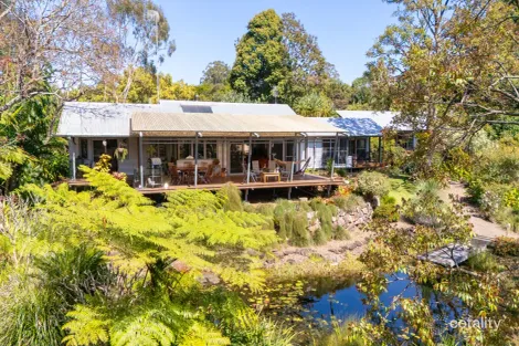 Property photo of 16 Cycad Place Flaxton QLD 4560