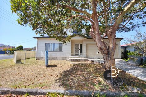 59 Martindale St, Wallsend, NSW 2287