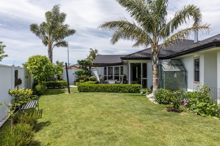 Photo of property in 19 Lochhead Street, Mahora, Hastings, 4120