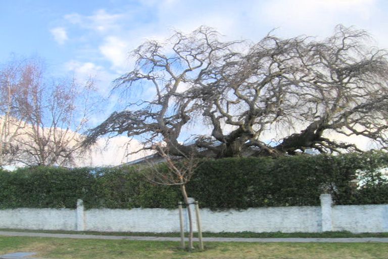 Photo of property in 601 Jervois Street, Mayfair, Hastings, 4122