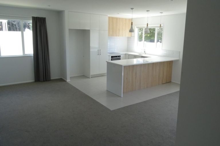 Photo of property in 133a Brookside Road, Rolleston, 7614