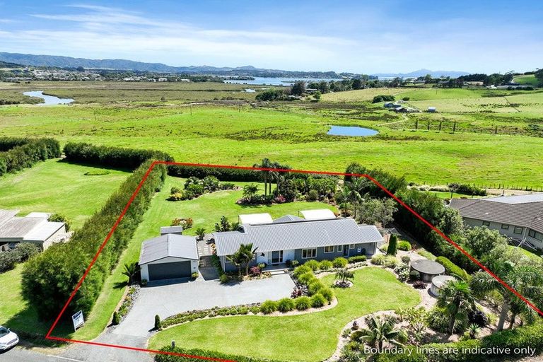 Photo of property in 74 Avocado Lane, Mangawhai, Wellsford, 0975