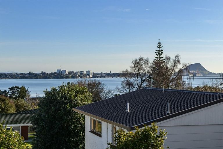 Photo of property in 351a Maungatapu Road, Maungatapu, Tauranga, 3112