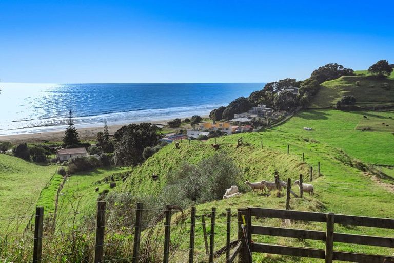 Photo of property in 59 Pohutukawa Drive, Waiotahe, Opotiki, 3198