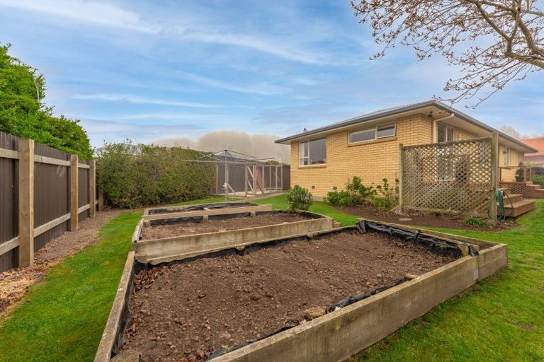 Photo of property in 5 Williamson Place, Geraldine, 7930