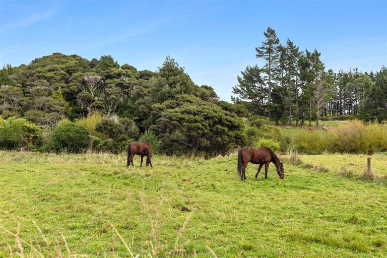 Photo of property in 39 Mcgowan Street, Puponga, Collingwood, 7073