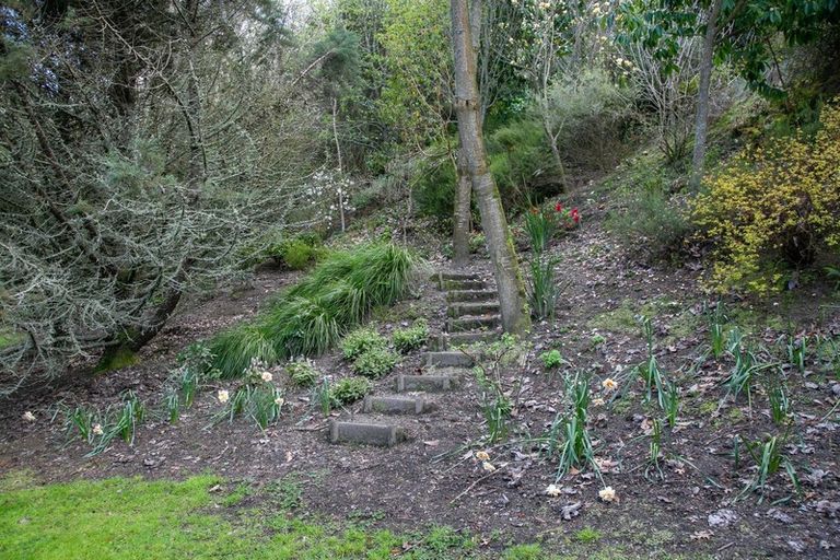 Photo of property in 182 Thornton Road, Cambridge, 3434