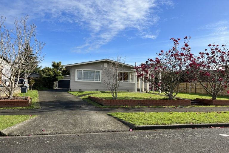 Photo of property in 54 Windsor Street, Terrace End, Palmerston North, 4410
