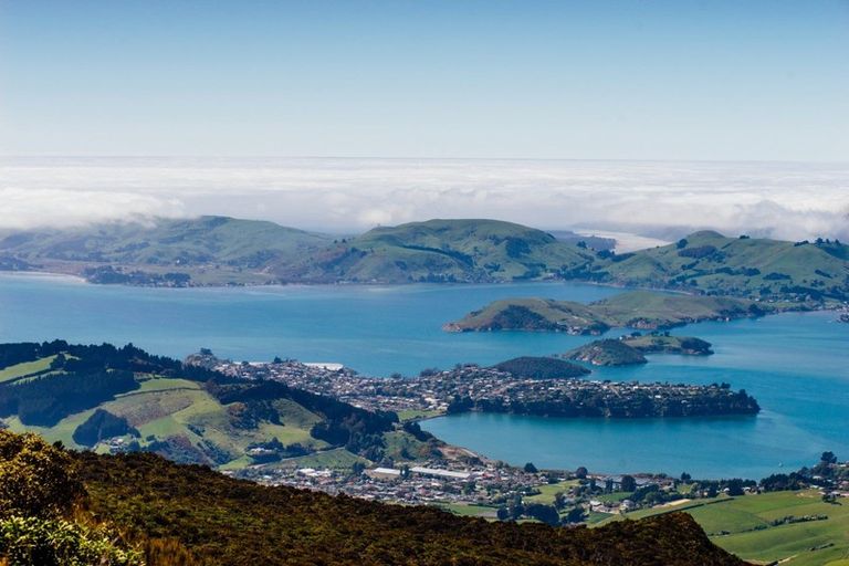 Photo of property in 11 Kea Street, Saint Leonards, Dunedin, 9022