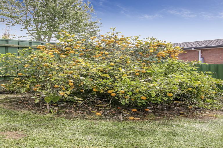 Photo of property in 34 Arlette Place, Massey, Auckland, 0614