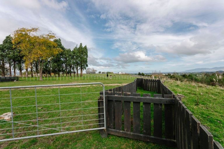 Photo of property in 423 Tipapakuku Road, Dannevirke, 4976