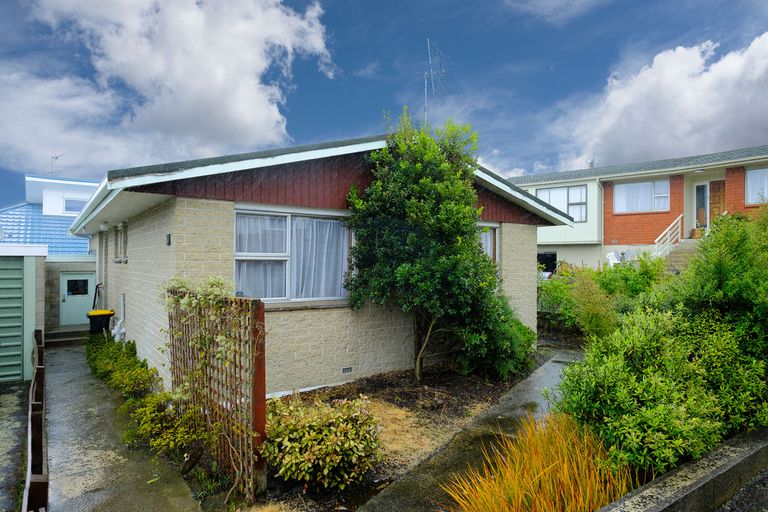Photo of property in 11b Oakland Street, Andersons Bay, Dunedin, 9013
