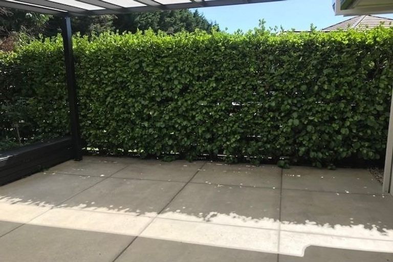 Photo of property in 206 Rowesdale Drive, Ohauiti, Tauranga, 3112