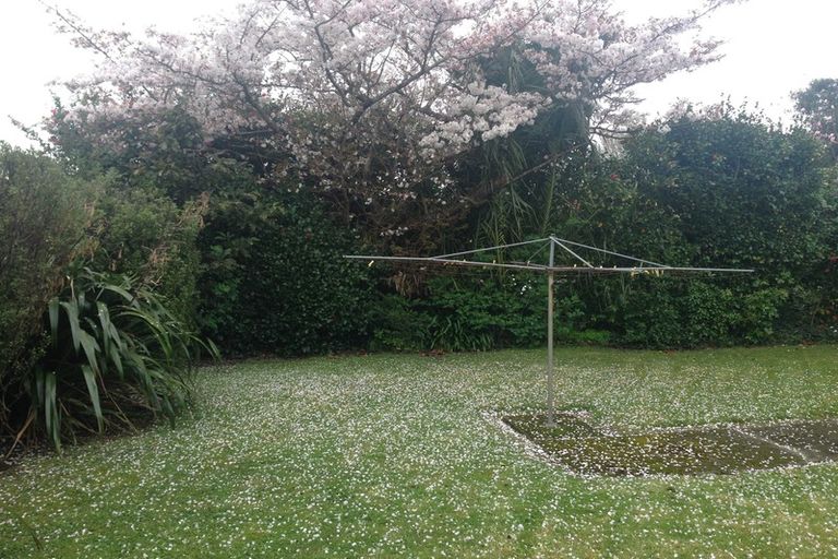 Photo of property in 431 Ruahine Street, Terrace End, Palmerston North, 4410