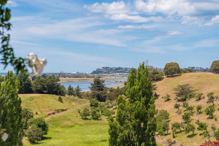 Photo of property in 290 Poraiti Road, Poraiti, Napier, 4182