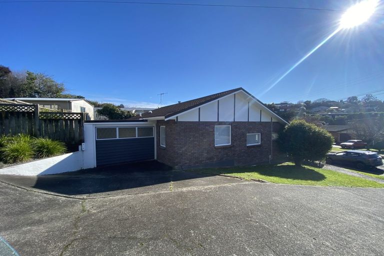 Photo of property in 21 Parkes Avenue, Saint Johns Hill, Whanganui, 4501