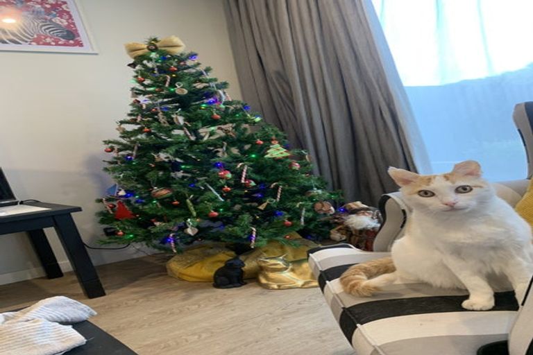 Photo of property in 130 Warden Street, Shirley, Christchurch, 8013