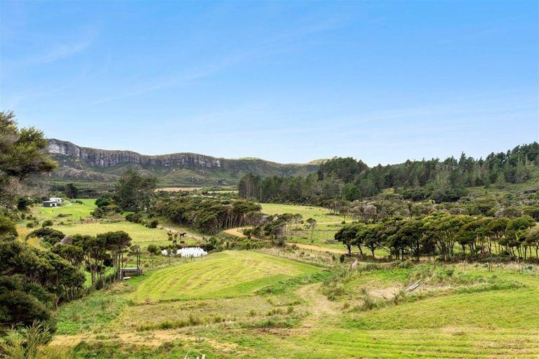 Photo of property in 39 Mcgowan Street, Puponga, Collingwood, 7073