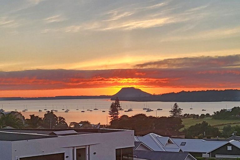 Photo of property in 61 Hamurana Road, Omokoroa, 3114