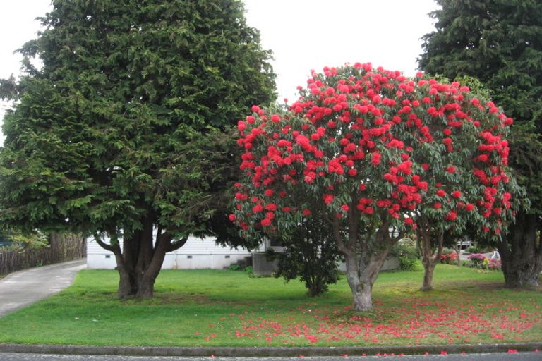 Photo of property in 71 Grand Vue Road, Kawaha Point, Rotorua, 3010