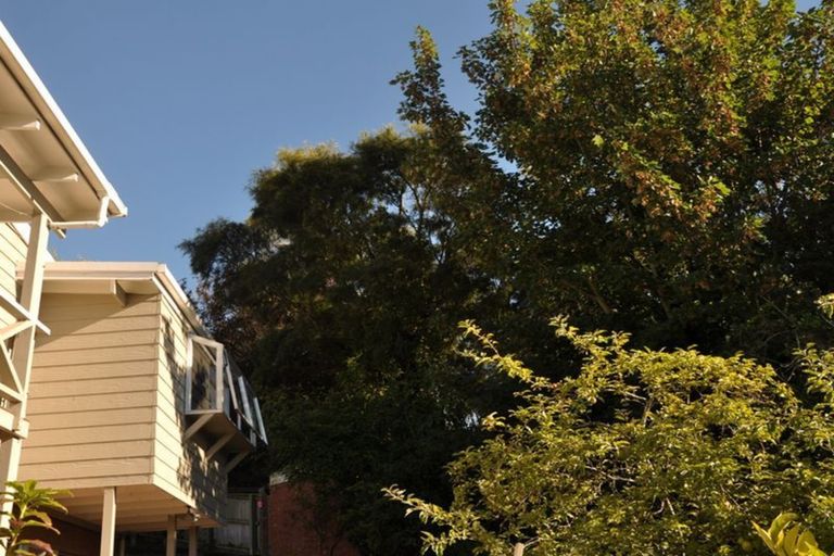 Photo of property in 19f London Street, Dunedin Central, Dunedin, 9016