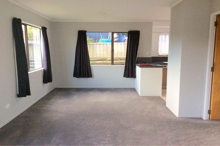 Photo of property in 141c Maungatapu Road, Maungatapu, Tauranga, 3112