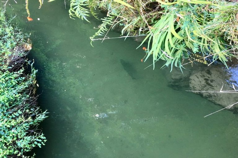 Photo of property in 13 La Trobe Place, Utuhina, Rotorua, 3015