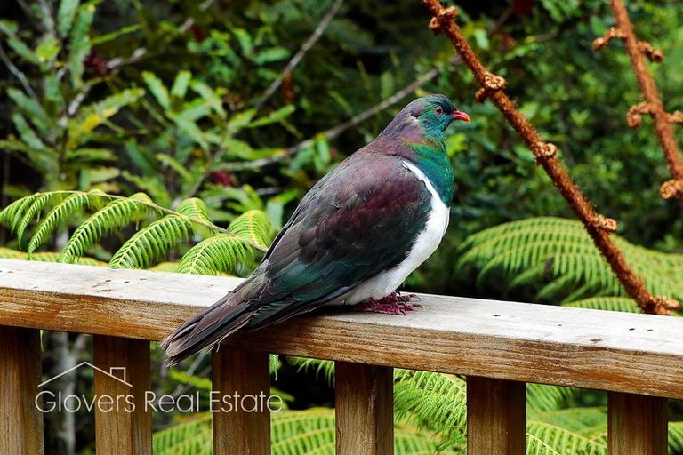 Photo of property in 157b Konini Road, Titirangi, Auckland, 0604