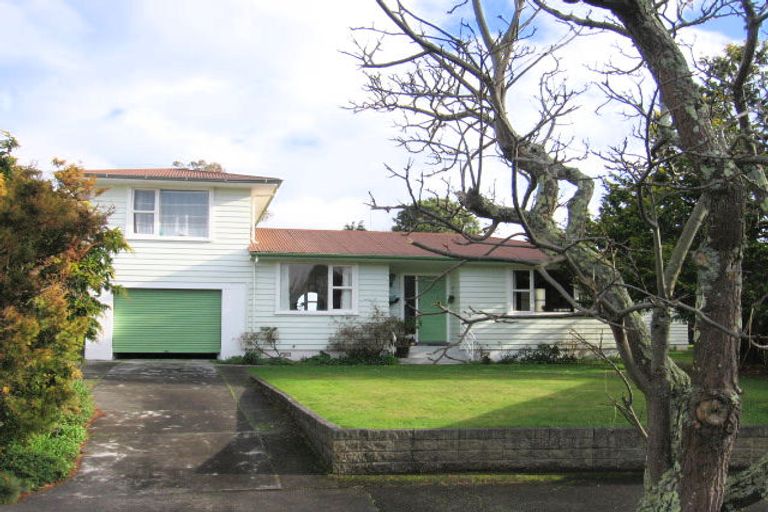 Photo of property in 5 Patea Place, Terrace End, Palmerston North, 4410