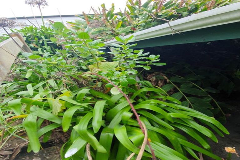 Photo of property in 8 Ngaroma Lane, Maketu, Paengaroa, 3189